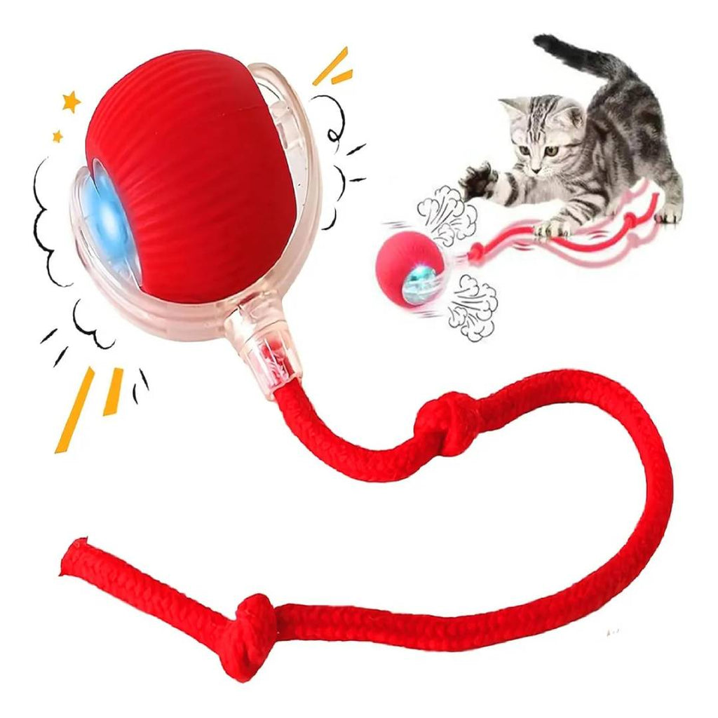 PELOTA INTERACTIVA RECARGABLE CON LUZ
