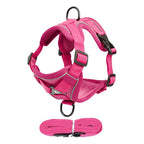 ARNES PRETAL ANTI TIRONES CON CORREA - 1,5mts - VERDE - ROSA