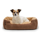 MOISES CUCHA MASCOTAS CAMA - 68cm x 48cm