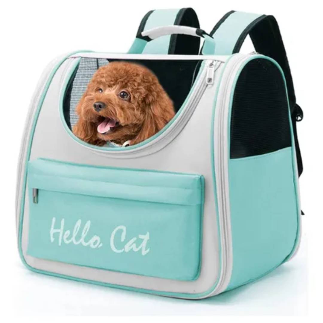 MOCHILA HELLO CAT MASCOTAS SUONO - CELESTE