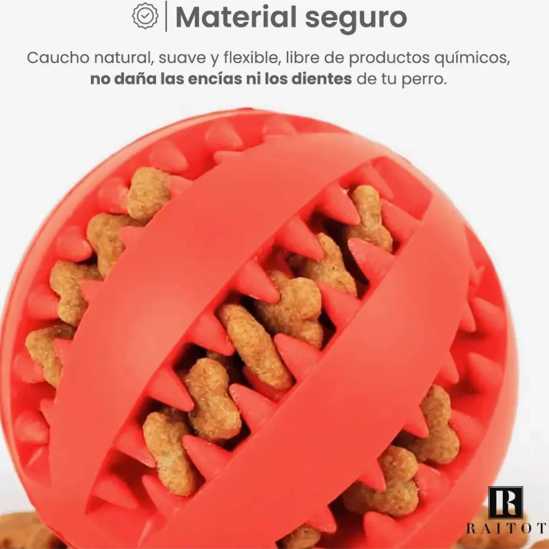PELOTA JUGUETE ALIMENTO