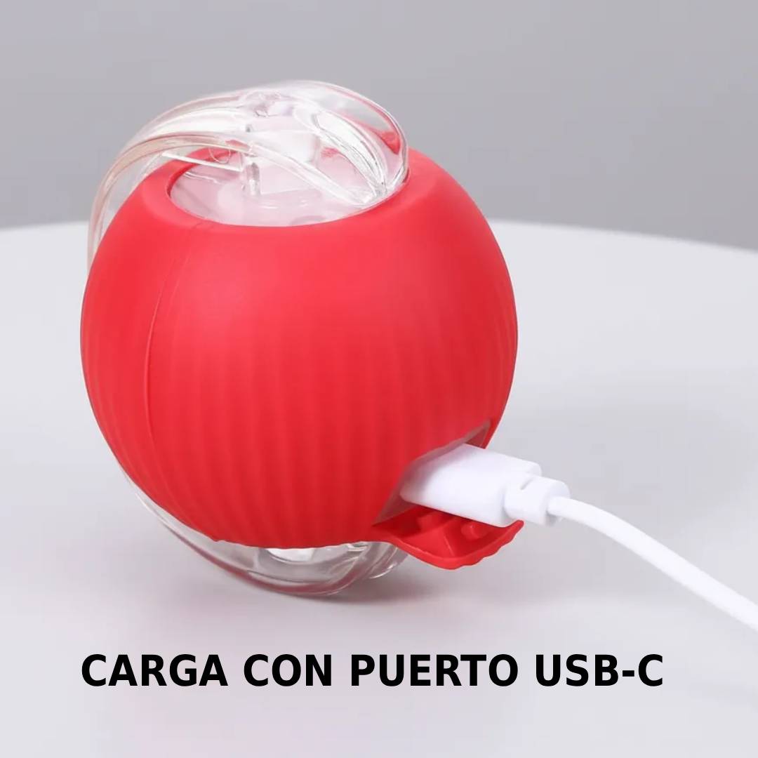 PELOTA INTERACTIVA RECARGABLE CON LUZ