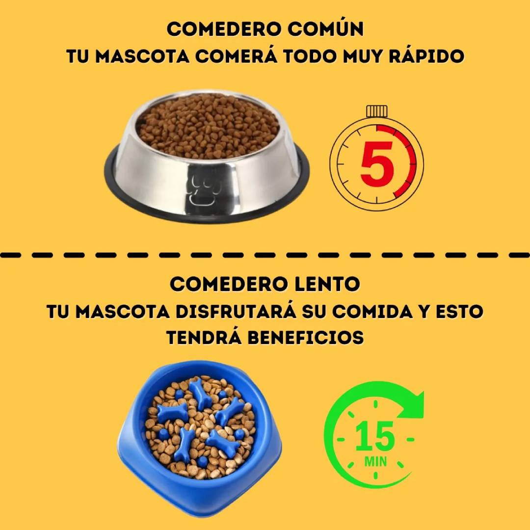 PLATO COMEDERO LENTO REGULA ANSIEDAD