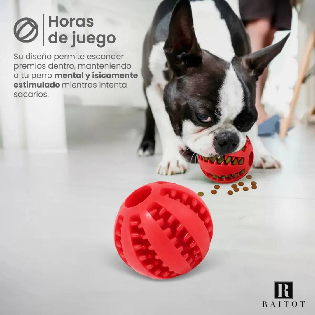 PELOTA JUGUETE ALIMENTO