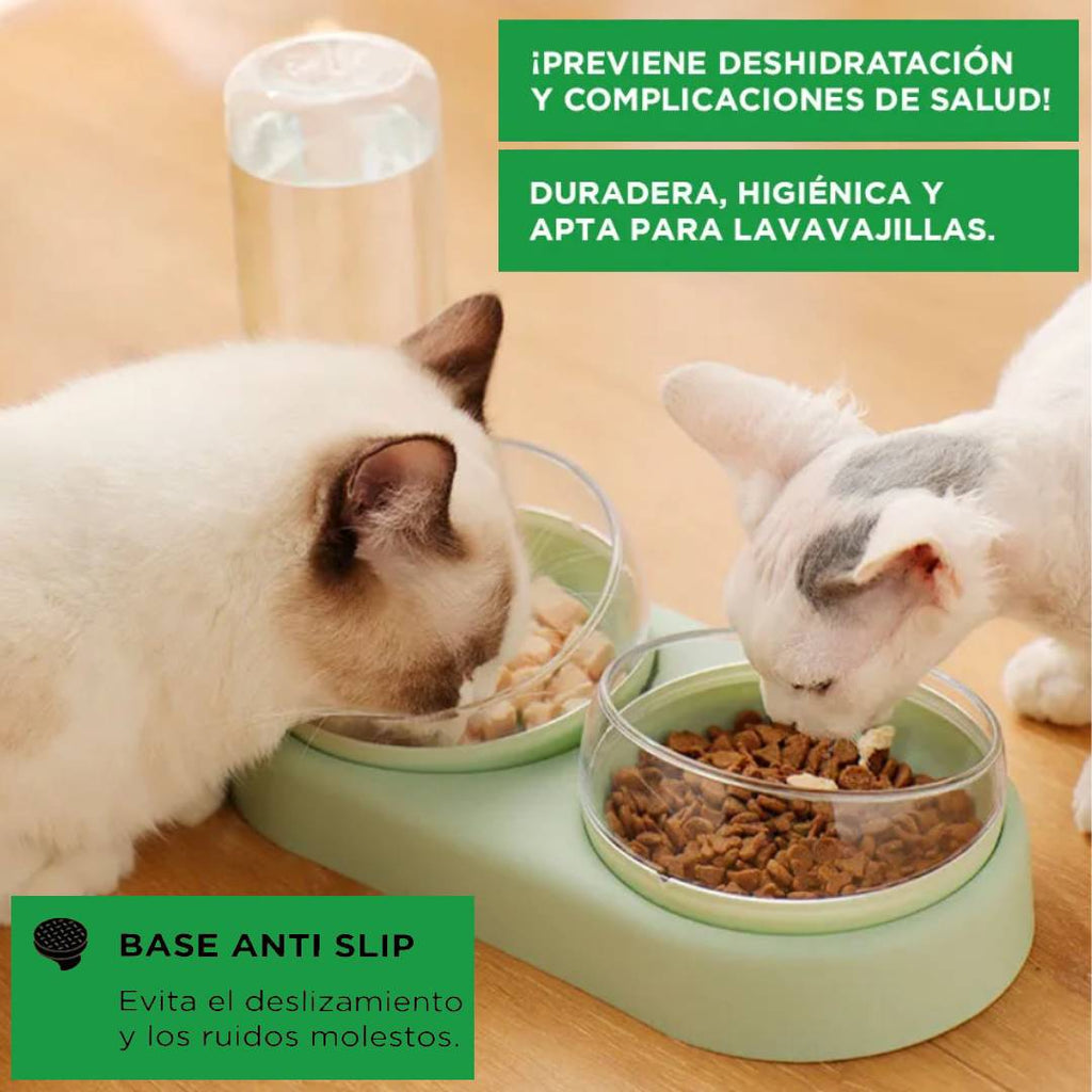 PLATO BOWL COMEDERO BEDERO DOBLE
