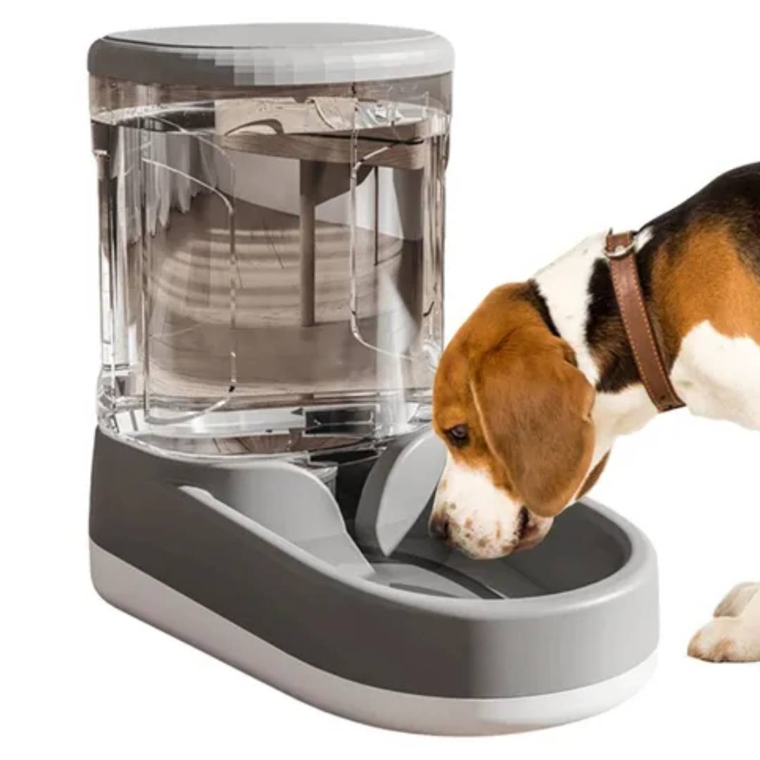 BEBEDERO ALIMENTADOR DISPENSER - 3,5lt