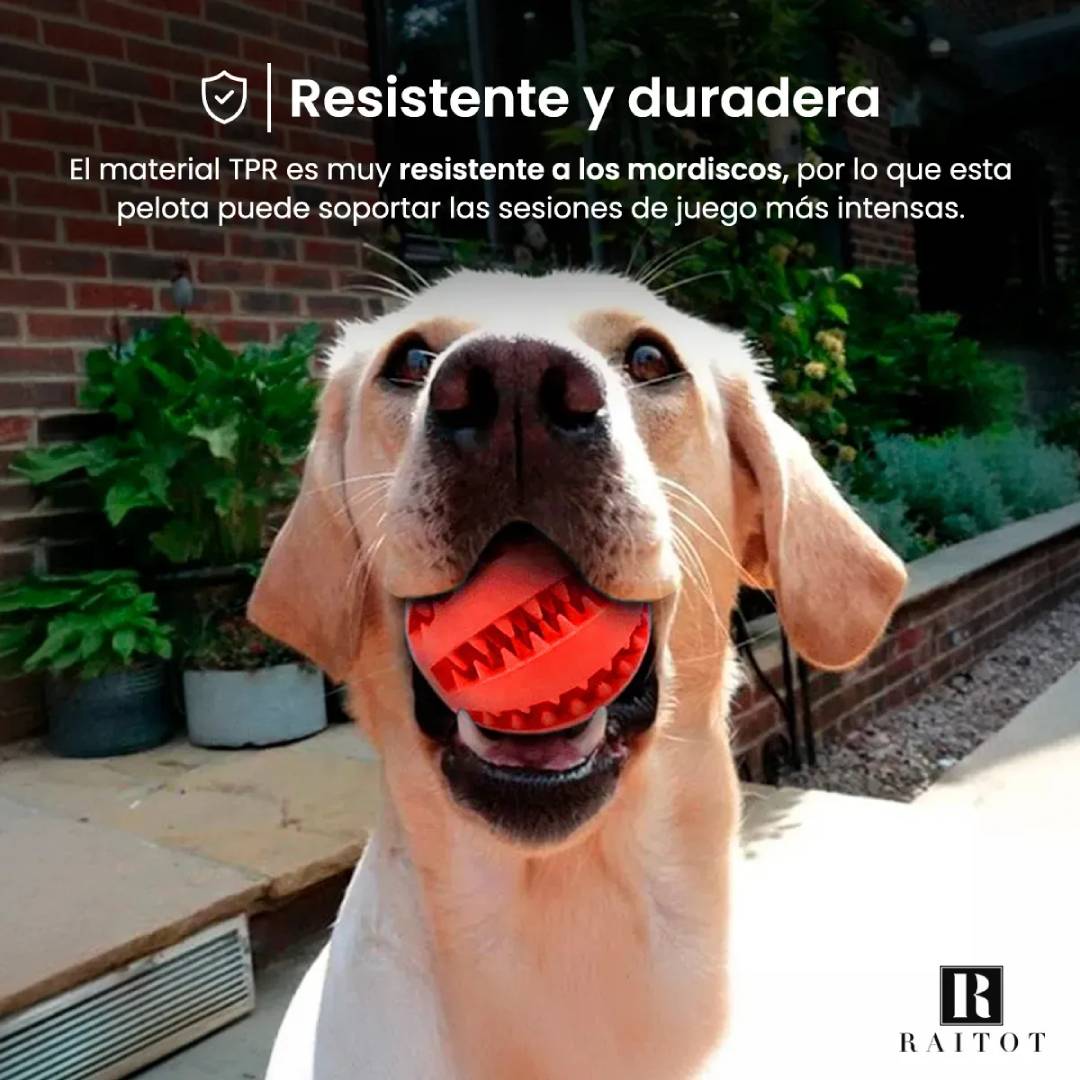 PELOTA JUGUETE ALIMENTO
