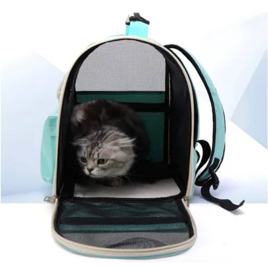 MOCHILA HELLO CAT MASCOTAS SUONO - CELESTE