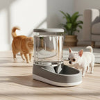 BEBEDERO ALIMENTADOR DISPENSER - 3,5lt