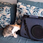 BOLSO TRANSPORTE GADNIC DE HOMBRO