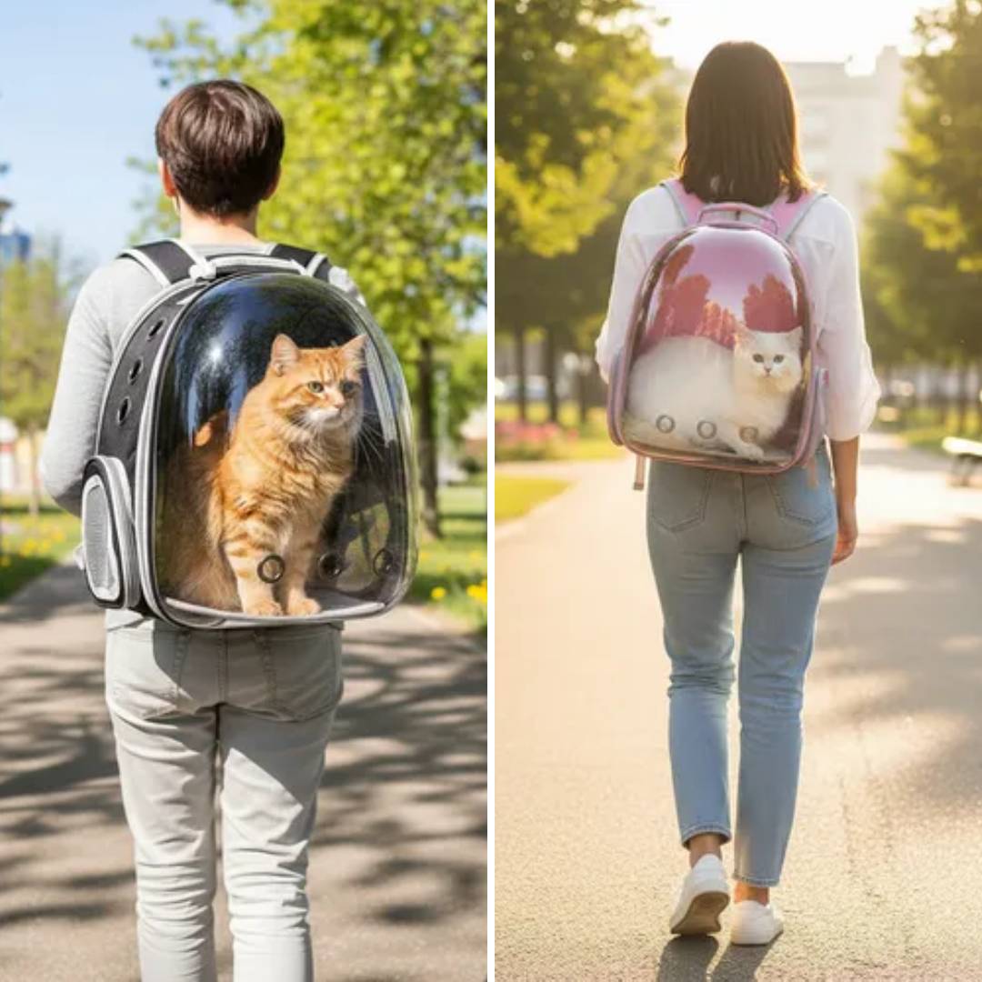 MOCHILA TRANSPORTADORA MASCOTAS RIGIDA CAPSULA TRANSPARENTE - NEGRO - ROSA